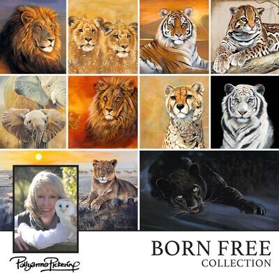 Pollyanna Pickering's Born Free Digital Collection