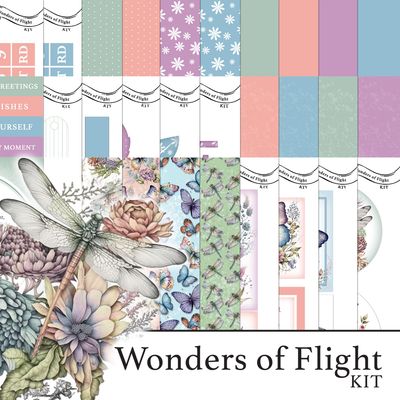 Birds , Bees & Butterflies Kits