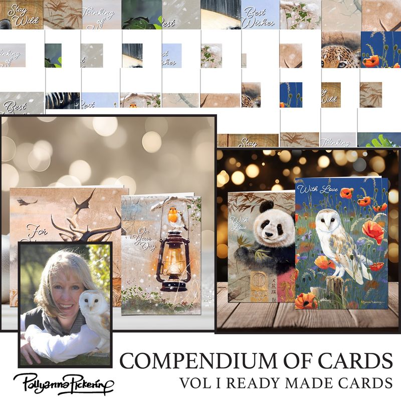 Pollyanna Pickering's Compendium of Cards Vol I Ready Made Cards Digital Kit