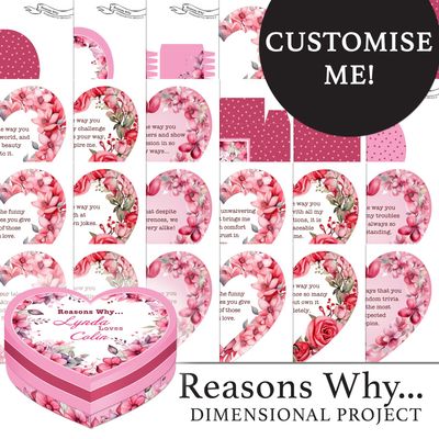 CUSTOMISABLE Reasons Why... Dimensional Project Digital Kit