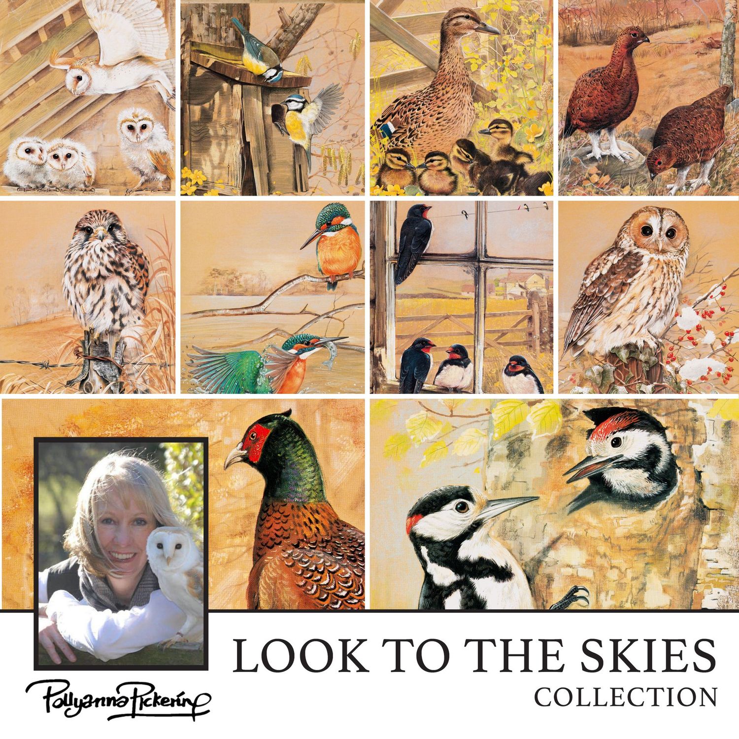 Pollyanna Pickering's Look to the Skies Digital Collection