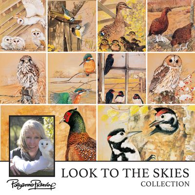 Pollyanna Pickering's Look to the Skies Digital Collection
