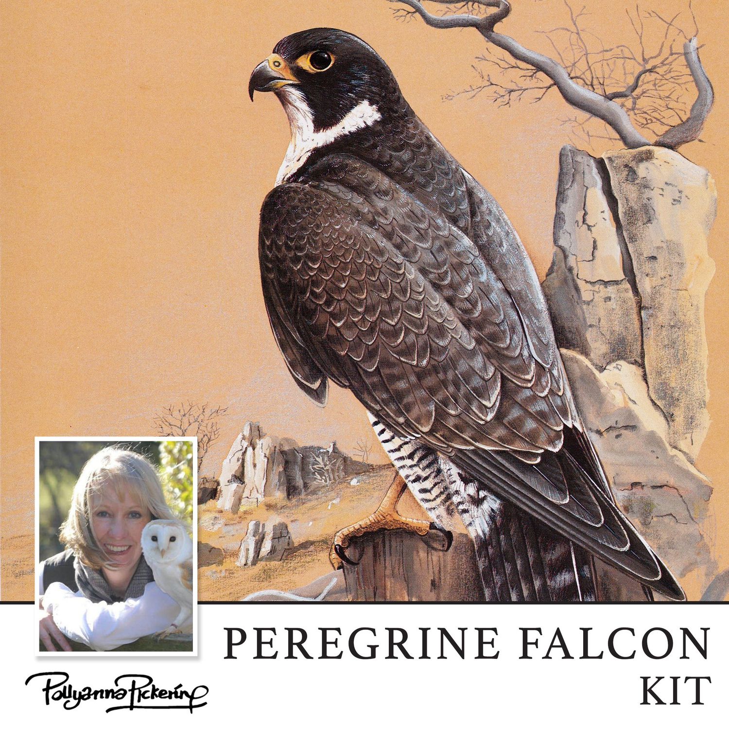 Pollyanna Pickering's Peregrine Falcon Digital Kit