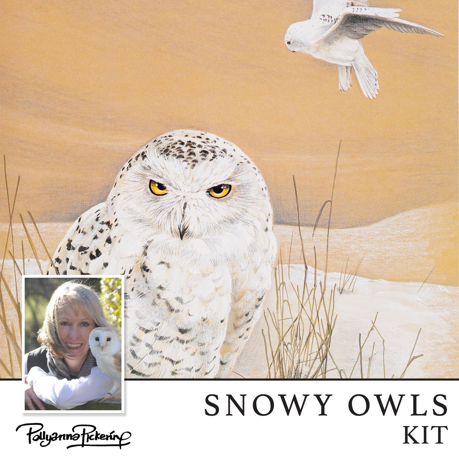 Pollyanna Pickering's Snowy Owls Digital Kit