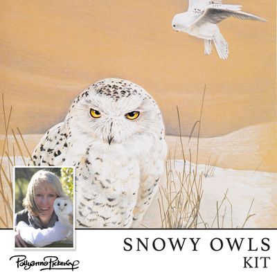 Pollyanna Pickering's Snowy Owls Digital Kit
