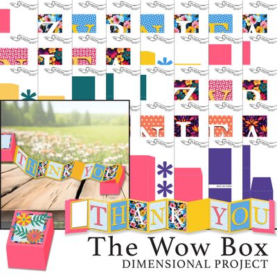 The Wow Box Dimensional Project Digital Kit