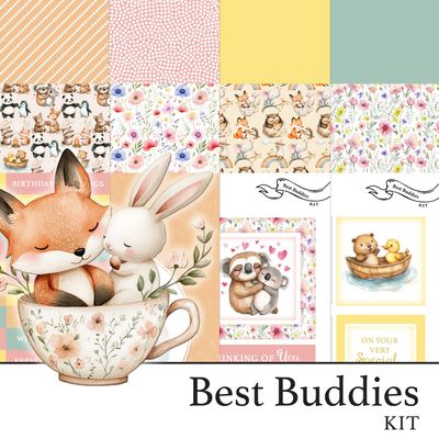 Best Buddies Digital Kit Best Buddies Digital Kit