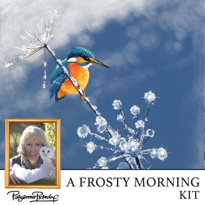 Pollyanna Pickering's A Frosty Morning Digital Kit Pollyanna Pickering's A Frosty Morning Digital Kit