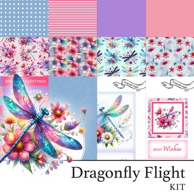 Dragonfly Flight Digital Kit Dragonfly Flight Digital Kit