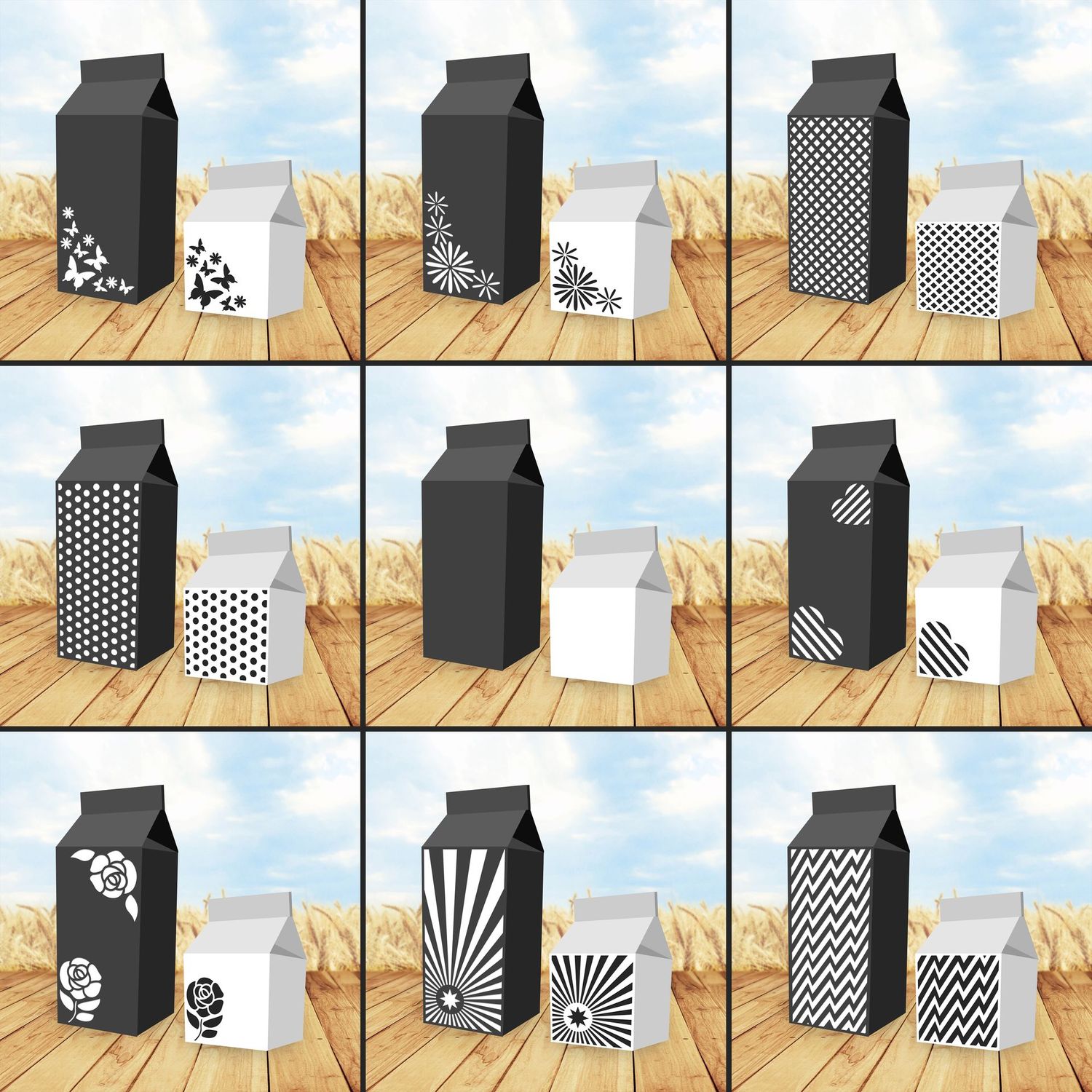 Carton Box SVG Cutting Files