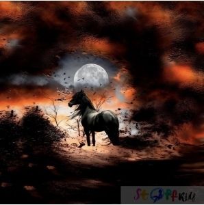 Panel Stoffkids "Pferd im der Nacht" Sommersweat 100x180