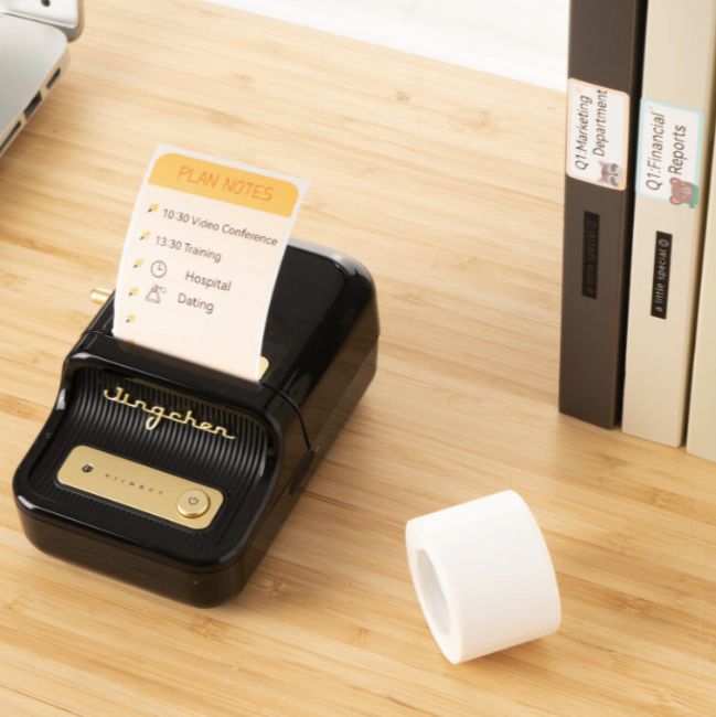Niimbot B21 Portable Thermal Label Printer - Black