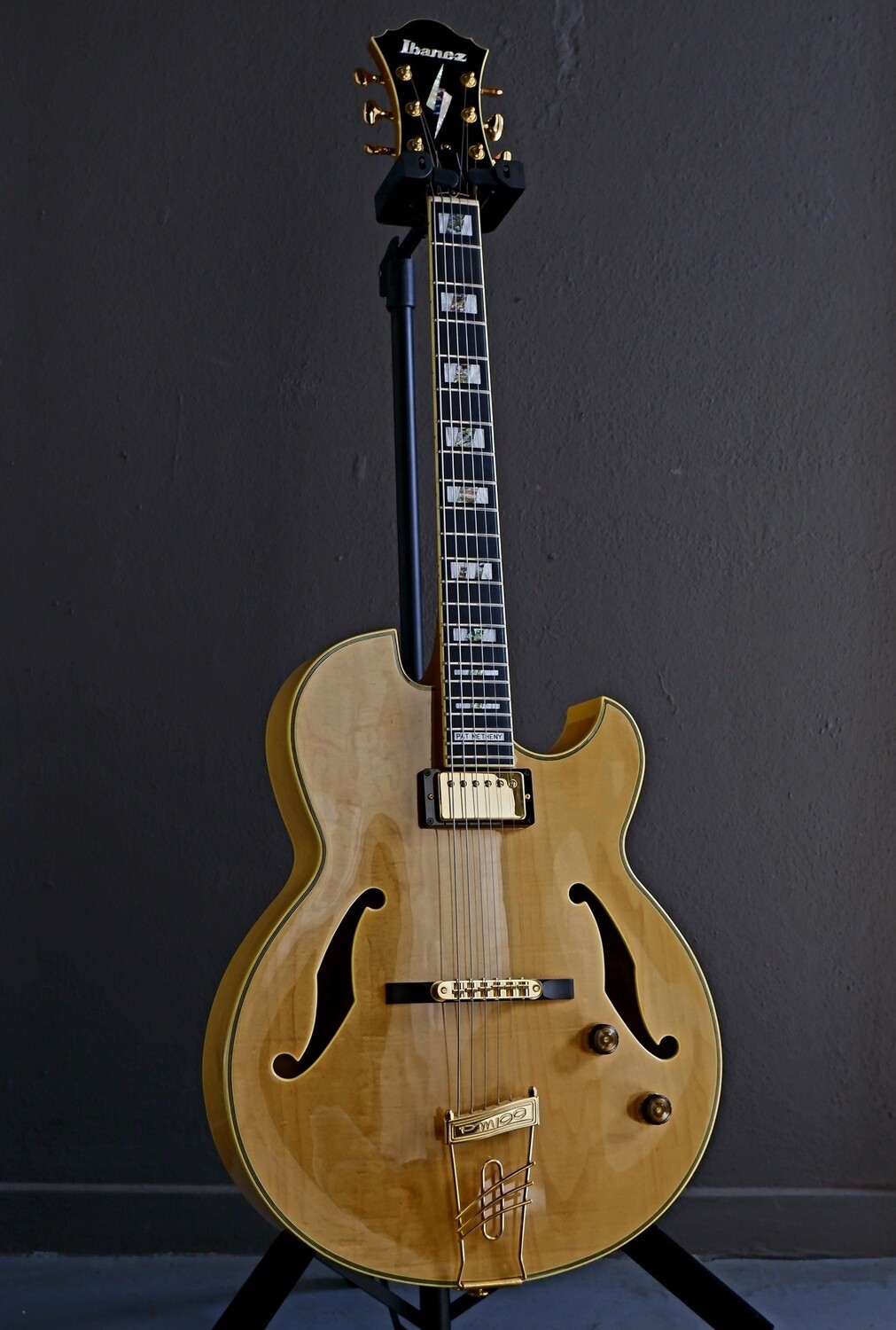 PM100 | Ibanez Wiki | Fandom