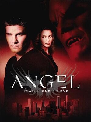 Angel: Season One on DVD
