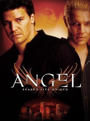 Angel: Season Five on DVD