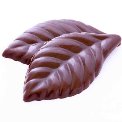 Dark Chocolate Crunchy Mints - 10 pieces of leaf-shaped choc mints - ideal as after dinner mints