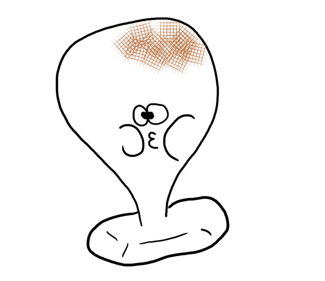 🍡 Rice Cake &amp; Mochi