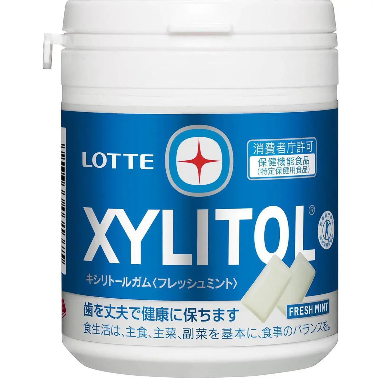 Lotte Xylitol Gum Fresh Mint Family Bottle 133g
