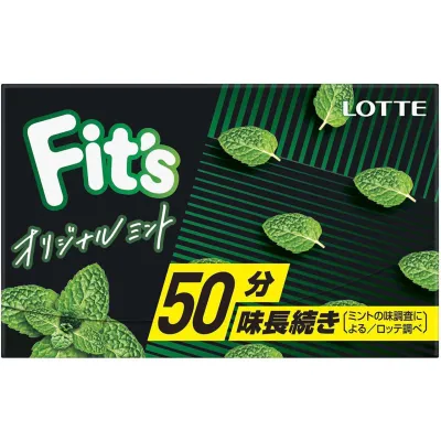 Lotte Fit’s Original Mint Gum 12 Pieces