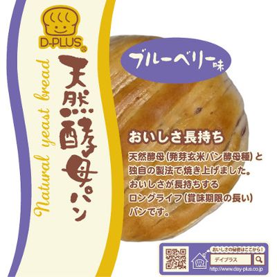 Dayplus Natural Yeast Bread Blueberry