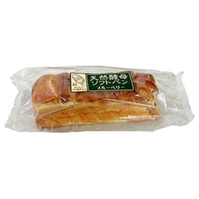 Tsukushiya Natural Yeast Soft Blueberry Bread