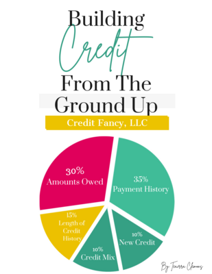 Building Credit from the Ground Up eBook