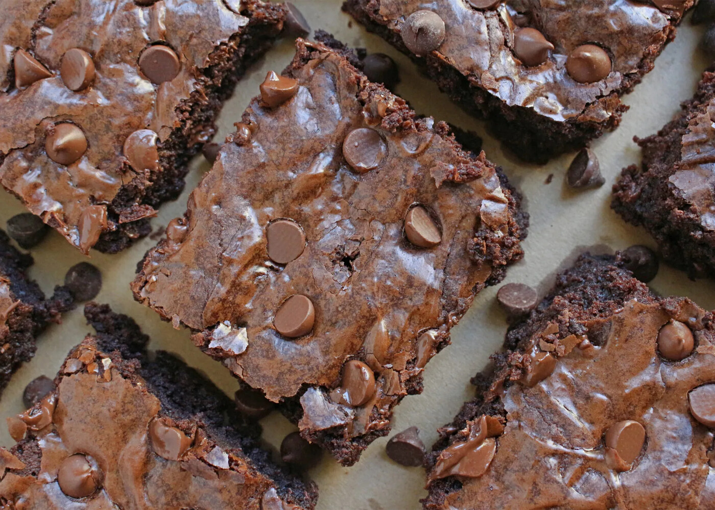 Chocolate Chip Brownies