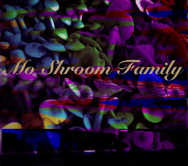 Mo Shroom Family