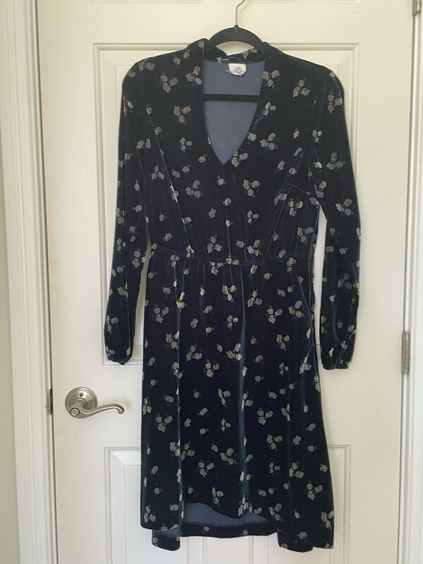 Cabi Velvet Floral Dress Size XS