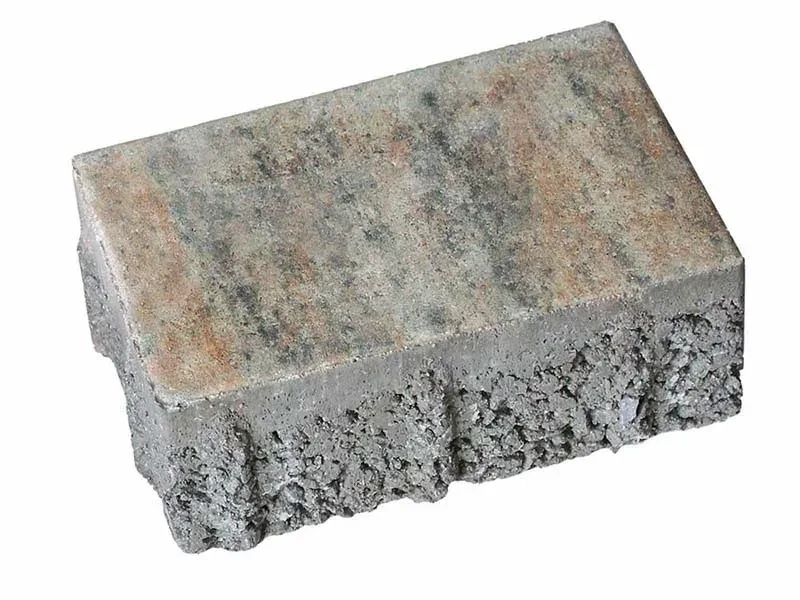 CALVO DRAIN PFLASTERSTEINE
MUSCHELKALK 21x14x8cm CALVO DRAIN PFLASTERSTEINE
MUSCHELKALK 21x14x8cm