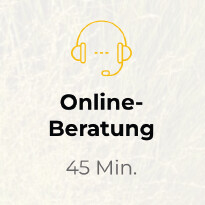 Online-Beratung 45 Min