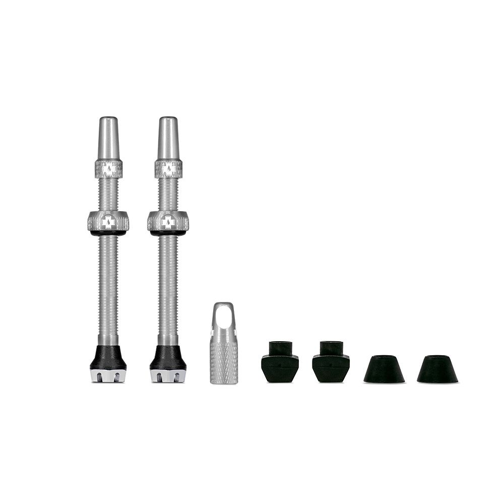 TUBELESS VALVES/60MM/SILVER V2
