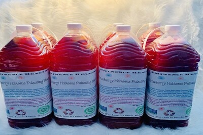 ♥Pulsating Beet Superfood Tonic Gallon ♥