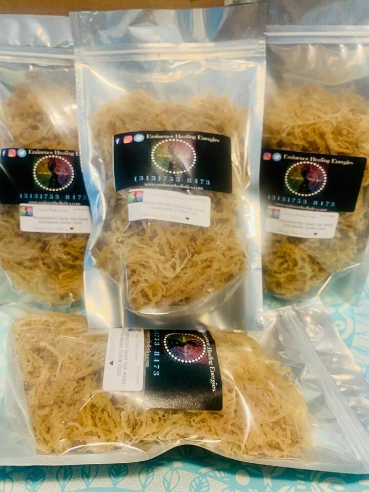 ♥ 1 Pound Chondrus Crispus Wildcrafted Irish Seamoss ♥