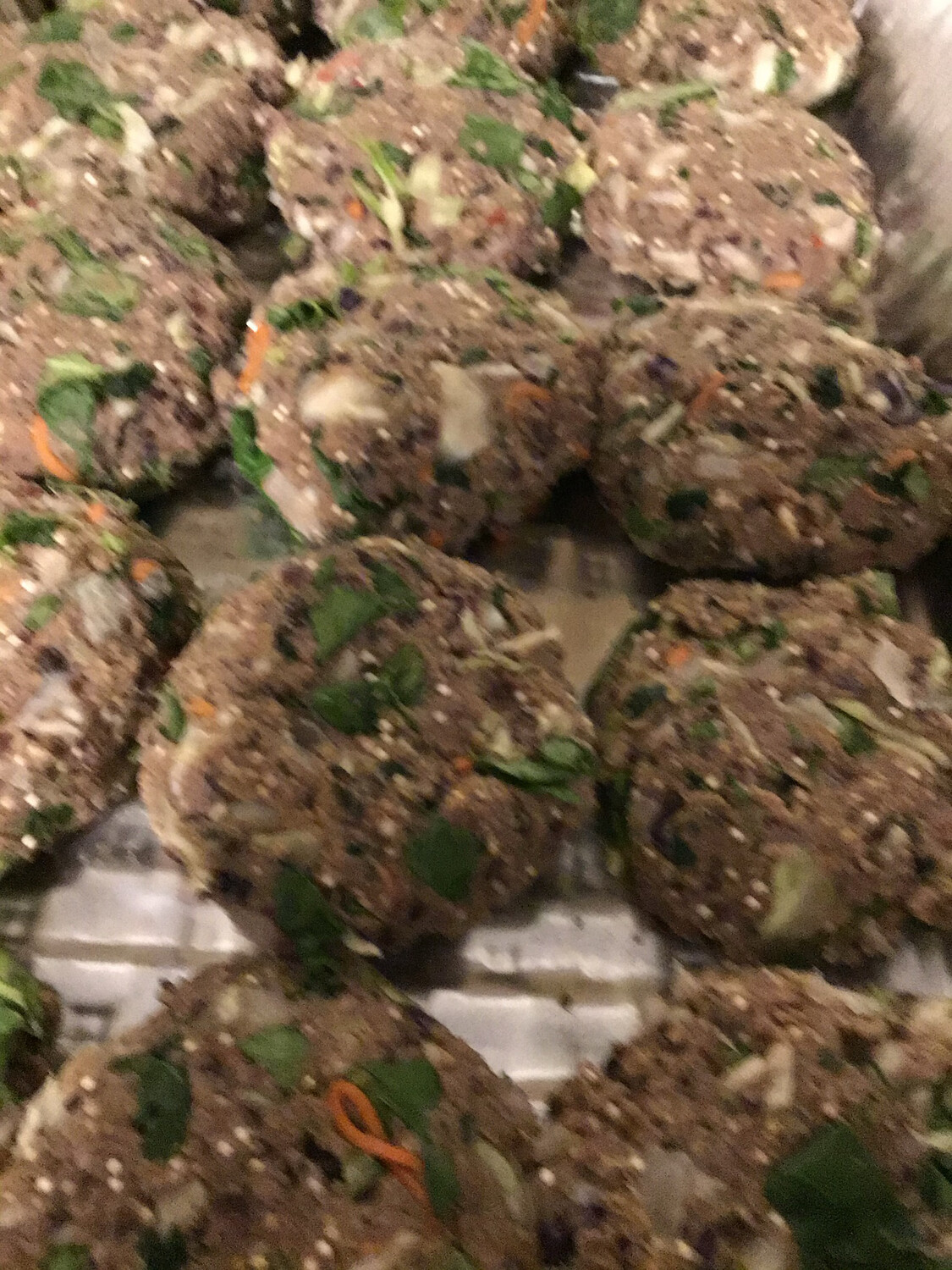 ♥Organic Gourmet Navy Bean Veggie Patties 24 Pack ♥