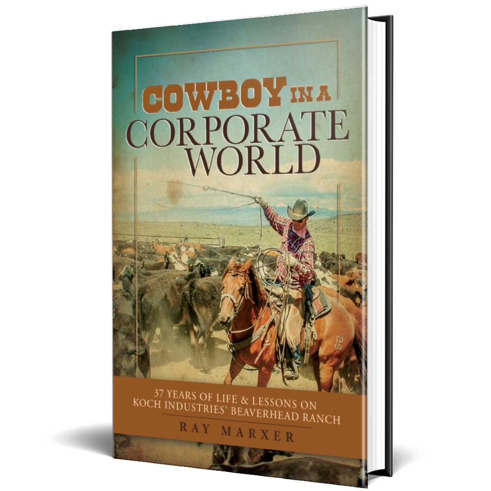 Book, Memoir - Cowboy in a Corporate World