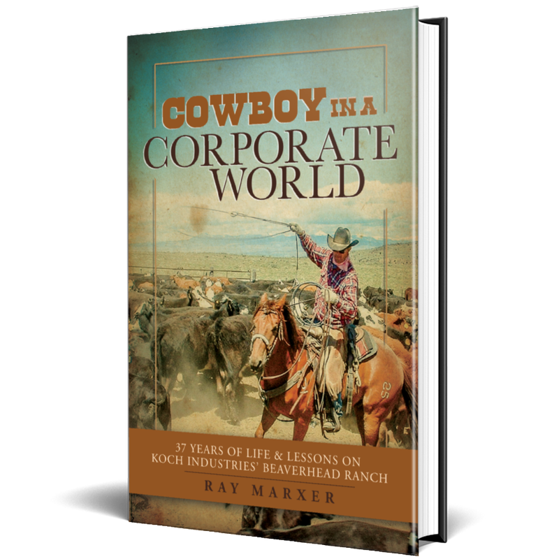 Book, Memoir - Cowboy in a Corporate World Book, Memoir - Cowboy in a Corporate World
