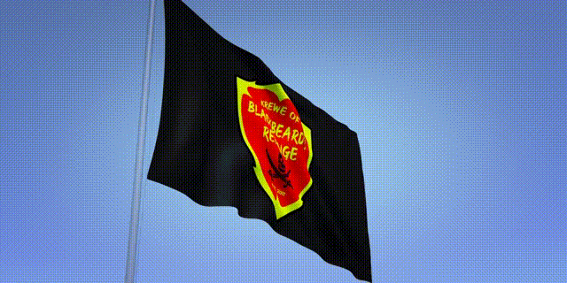 2024 3&#39; x 5&#39; KBR Flag