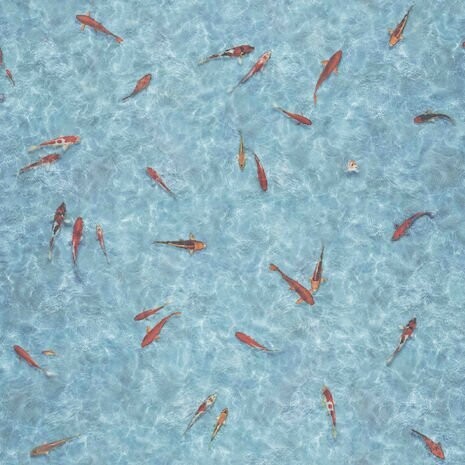 PVC (15€/m²) CV Bodenbelag Fische Vinyl 2 Meter Breite PVC (15€/m²) CV Bodenbelag Fische Vinyl 2 Meter Breite