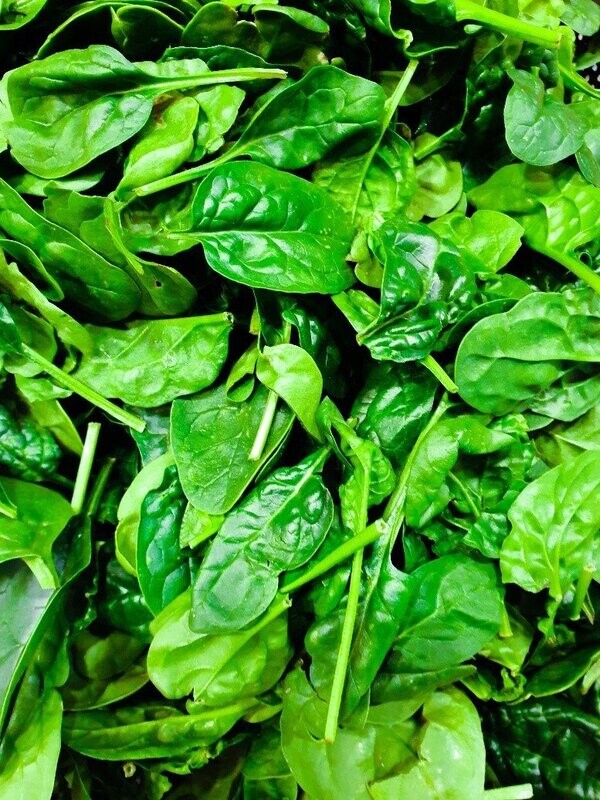 Spinaci freschi