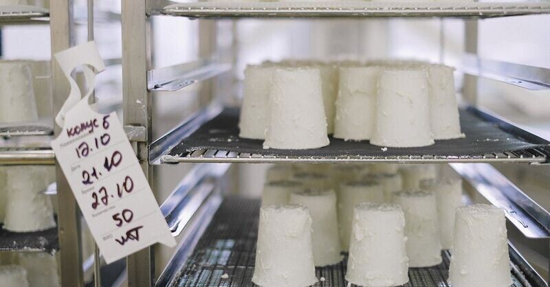 Ricotta
