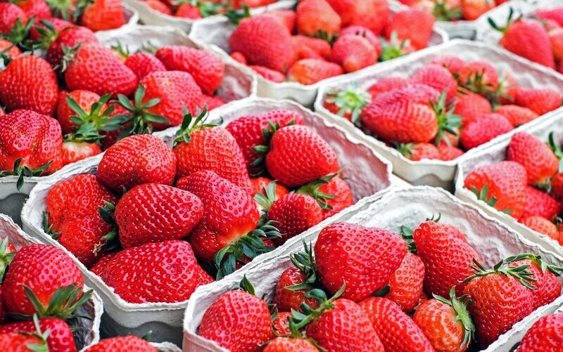 Fragole rosse