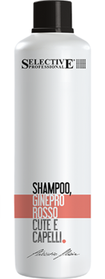 SHAMPOO GINEPRO ROSSO 1000ml ARTISTIC FLAIIR