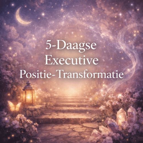 5-Daagse Executive Positie-Transformatie