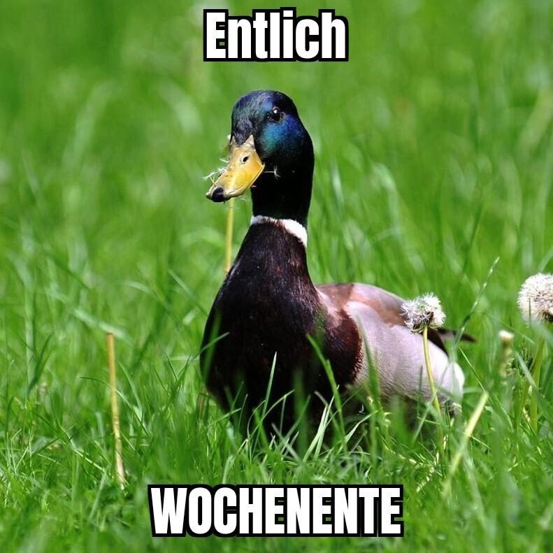 Wochenente 1