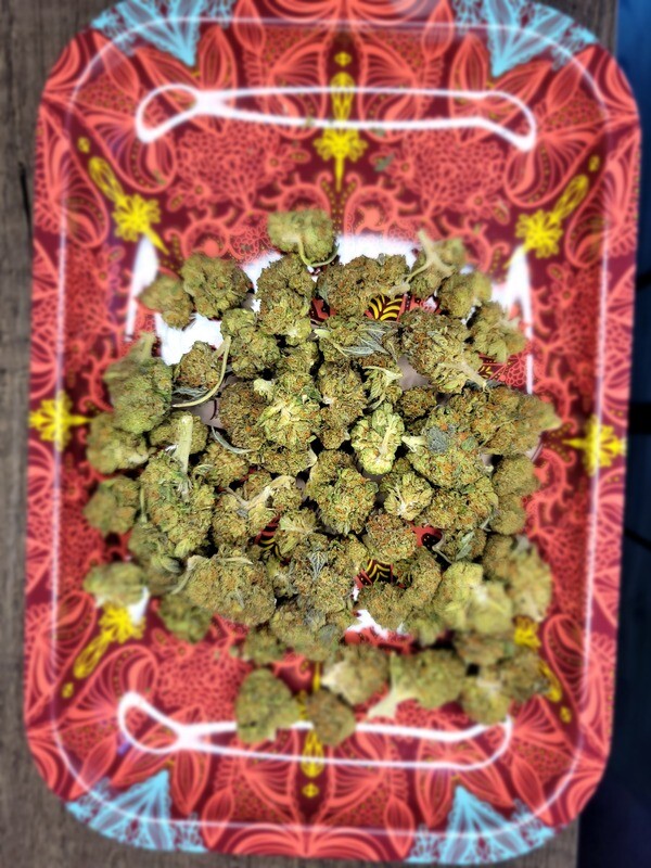(REC) Peanut Butter Breath Hybrid