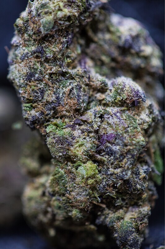 Black Cherry Gelato (Indica Hybrid)
