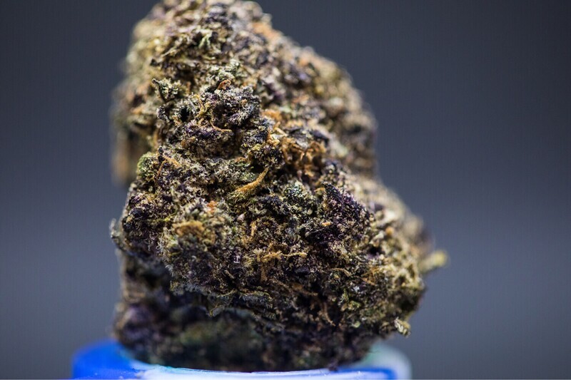 Pink Runtz Hybrid Sativa