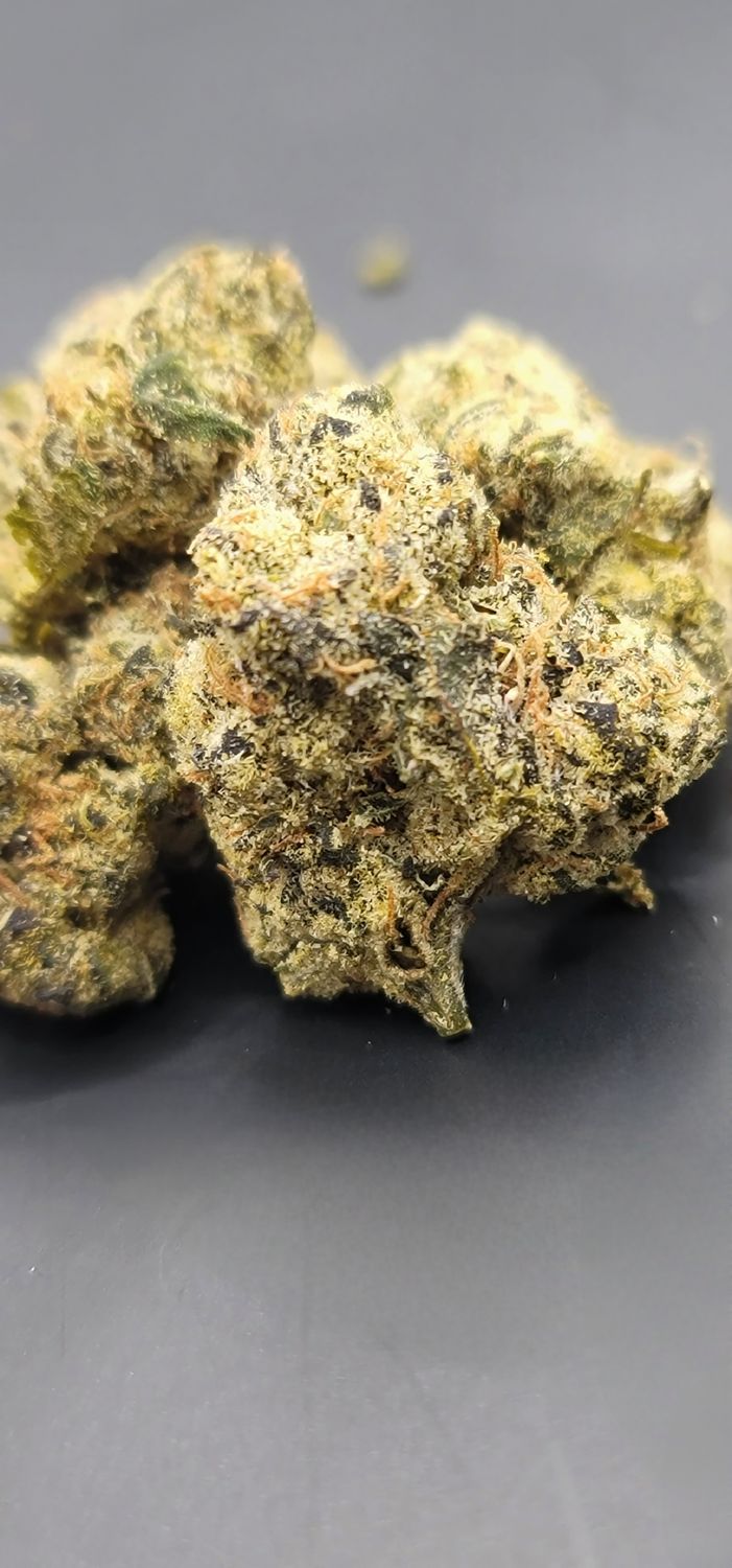 Watermelon Bubble Gum (Hybrid)