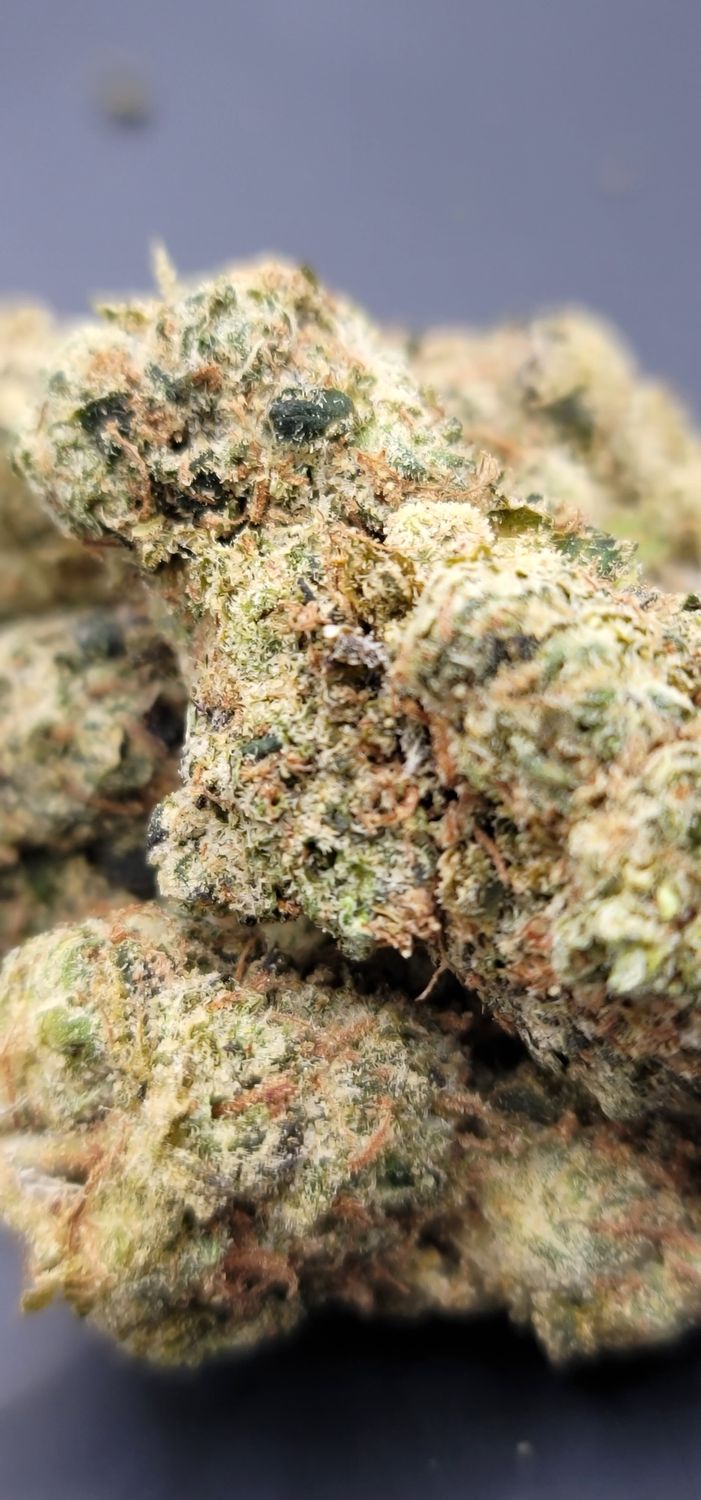 Grape Soda Pop (Hybrid)